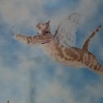 Judy Rae Jackson - @irvingkittymama - Instagram
