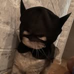 Kitty Jackson - Facebook