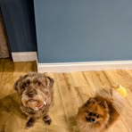 Kitty Jackson - Facebook