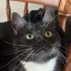 kitty jane - @kittyjane649 - TikTok