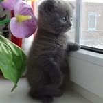 Kitty Jane - @_kitty_jane_ - Instagram