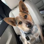 Kitty Jane - @kitty_jane15 - Instagram