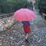 Kitty Jane Kirby - @kittyjanekirby - Instagram