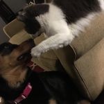 Sasha & Kitty Kerr - @sasha_and_kitty - Instagram
