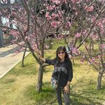 Kitty Lam - @fit_coach_kitty - Instagram