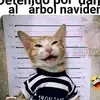 user572941267302 - @kittylopez74 - TikTok