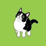 Gio Lorenzo🐱💚 - @giolorenzo.thephillykitty - Instagram