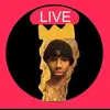 cat - @kittylouie - TikTok