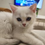 김루이예요 - @kitty_louie_ - Instagram