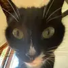 kitty - @kitty.lowry - TikTok