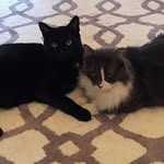 Kitty & Marshall - @kitty_n_marshall - Instagram