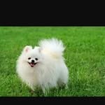 Kitty Marshall - @kittymarshall3157 - Instagram
