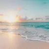kittymarshall7 - @kittymarshall7 - TikTok