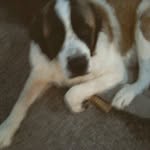 Kitty Masterson - @mastersonkitty - Instagram