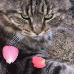 Kitty Mathews - @mathewskitty - Instagram