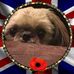 Kitty McCabe - Facebook