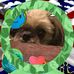 Kitty McCabe - Facebook
