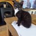 Kitty Mc Cormack - Facebook
