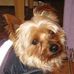 Kitty McCormack - Facebook
