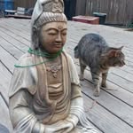 kitty__mccoy - @kitty___mccoy - Instagram