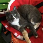 Kitty McGee - @nunubudder - Instagram