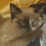 kitty McGee - @kittymcgee61 - Instagram