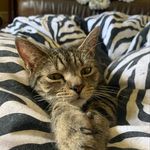 Kitty McGee - @kittymcgee1 - Instagram