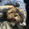 kittymcgee - @kittymcgee - TikTok