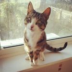 Ronnie McGee - @ronniekittymcgee - Instagram