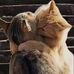 Kitty Mcnel - Facebook