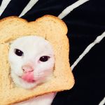 Kitty - @kitty_medina_28 - Instagram