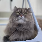 Mei 🐱 - @kittymei_ - Instagram