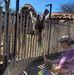 Kitty Miller - Facebook