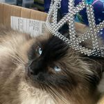 Kitty Miller - @kittymiller678 - Instagram