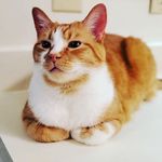 Kitty mora - @kittytheboss1 - Instagram