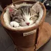 MorenoKitty - @morenokitty - TikTok