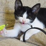 kitty muller da silva - @gata_kitty_fofa - Instagram