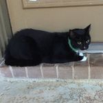 Kitty Nicole Norris - @kittyboo8067 - Instagram
