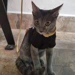 Kitty☆° - @kitty_morales.ochoa - Instagram