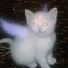kitty - @kitty_doom - TikTok