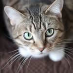 Kitty perrine - @kittyperrine - Instagram