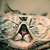 kittyperrin13 - @kittyperrin13 - TikTok
