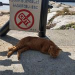 Kitty Poon - @kiti727 - Instagram
