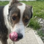 @iulian_kitty_popesti_ - Instagram