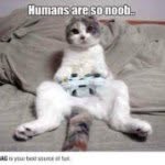 Pontus Fredricksson Ulf - @poped_eye_kitty - Instagram