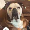 Kitty - @kittypowellbird62 - TikTok