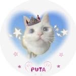 @kitty.princess333 - Instagram