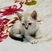 Kitty Prince - Facebook