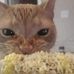 Kitty Queen - Facebook
