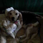 Kitty Reid - @reid.kitty - Instagram